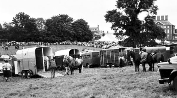 Horses and horse boxes in Home Close